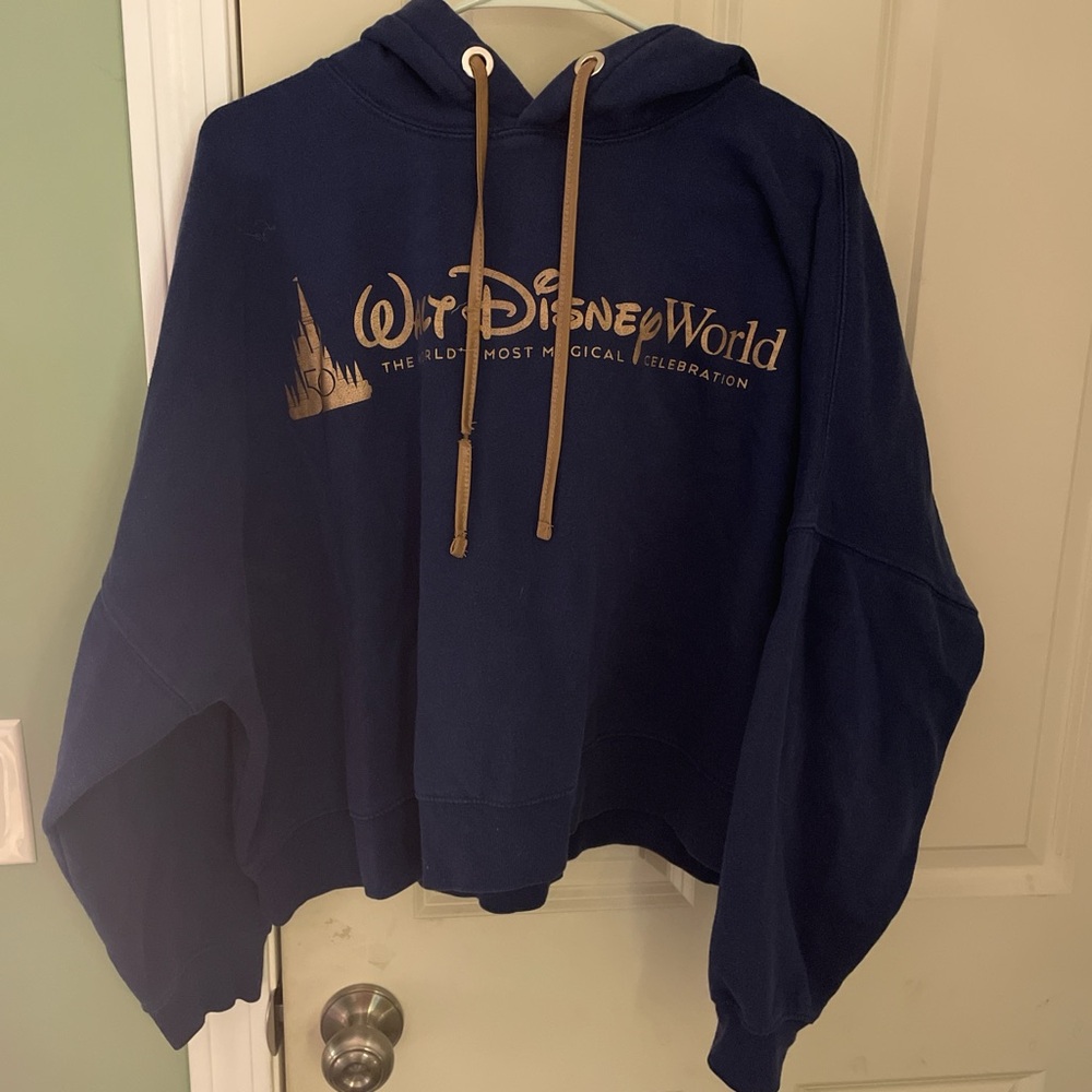 Walt Disney World Blue Hoodie